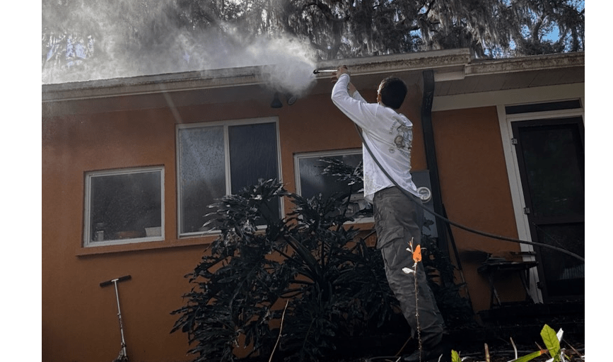 Roof Cleaning